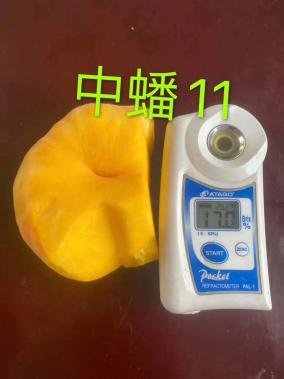 蒙陰篇 巾幗好產品，等您來團購——聚焦散裝及預包裝食品的優質銷售